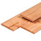 Tuinplank lariks/douglas 1.6x14.0x300cm