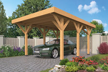 DHZ Carport Lemmer Douglas fijnbezaagd 450 x 600 cm